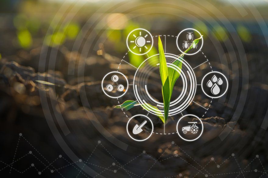 IoT enabled fertilizer management system for precision agriculture and nutrient optimization